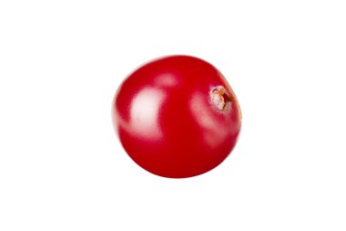 Beyaz arka planda izole edilmiş bir kızılcık. makro