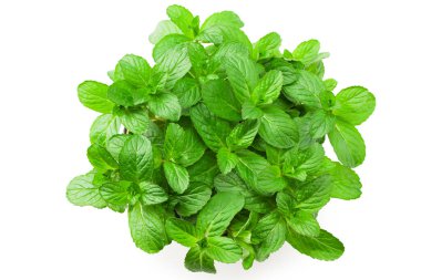 Beyaz arka planda izole edilmiş bir tencerede taze nane bitkisi. en üstteki görünüm