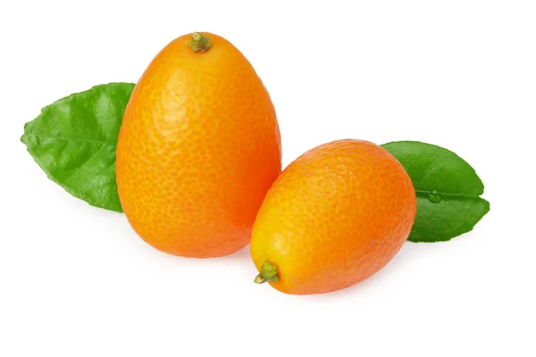Kreuzkümmel Oder Kumquat Mit Grünen Blättern Auf Weißem Hintergrund — Stockfoto
