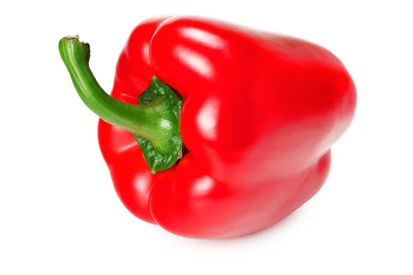 One Red Sweet Bell Pepper Isolated White Background — Stock Photo, Image