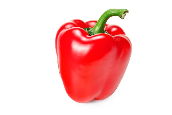 One Red Sweet Bell Pepper Isolated White Background — Stock Photo, Image