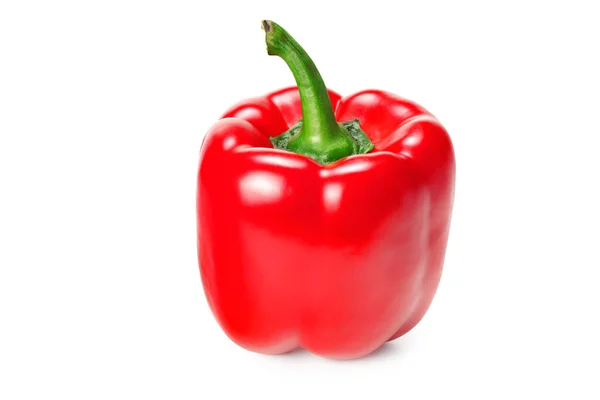 One Red Sweet Bell Pepper Isolated White Background — Stock Photo, Image