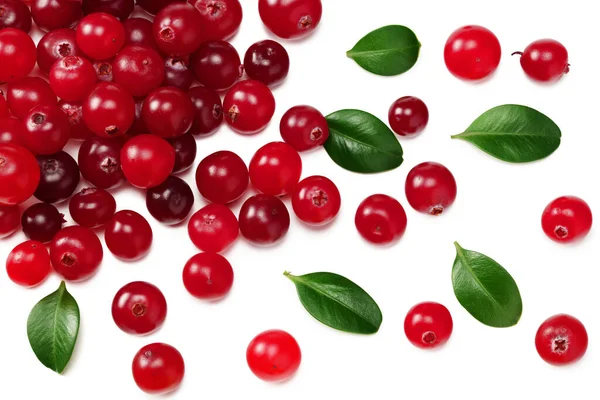 Cranberry Green Leaves Isolated White Background Top View — Stock Photo, Image