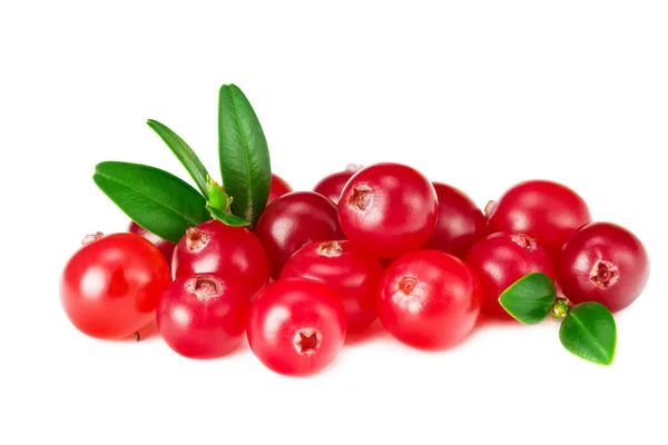 Cranberry Dengan Daun Hijau Terisolasi Pada Latar Belakang Putih — Stok Foto
