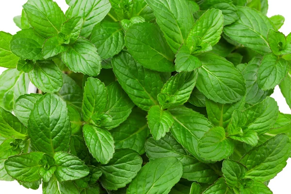 Fresh Mint Leaves Isolated White Background Top View — Stock Photo, Image