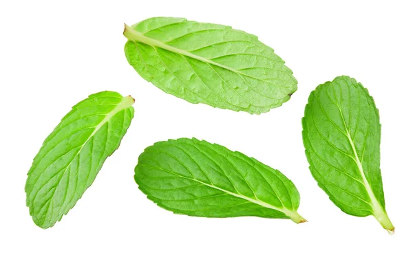 Fresh Mint Leaves Isolated White Background Top View — Stock Photo, Image