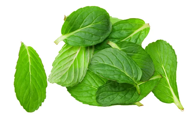 Fresh Mint Leaves Isolated White Background Top View — Stock Photo, Image