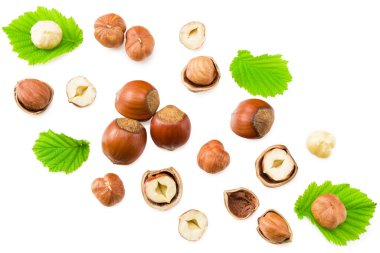 Beyaz arka planda yaprakları olan fındıklar. en üstteki görünüm