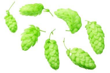 Yeşil sıçrayışlar beyaz arka planda izole edilmiş. en üstteki görünüm