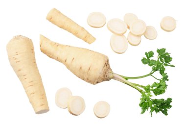 Beyaz arka planda izole edilmiş taze maydanoz kökü. en üstteki görünüm