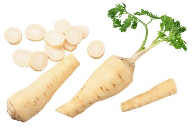 Beyaz arka planda izole edilmiş taze maydanoz kökü. en üstteki görünüm