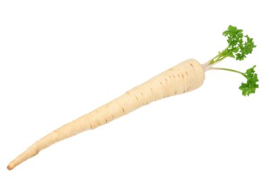 Beyaz arka plan üzerinde izole taze maydanoz kökü