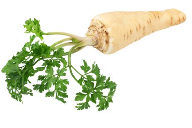 Beyaz arka plan üzerinde izole taze maydanoz kökü