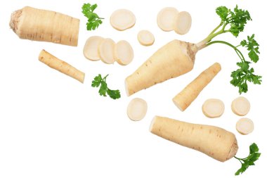 Beyaz arka planda izole edilmiş taze maydanoz kökü. en üstteki görünüm