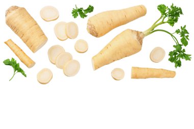 Dilimlenmiş taze maydanoz kökü ve beyaz arka planda izole edilmiş maydanoz. en üstteki görünüm