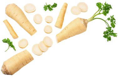 Dilimlenmiş taze maydanoz kökü ve beyaz arka planda izole edilmiş maydanoz. en üstteki görünüm