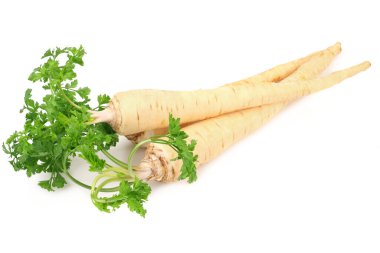 Beyaz arka plan üzerinde izole taze maydanoz kökü