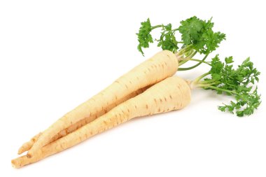 Beyaz arka plan üzerinde izole taze maydanoz kökü