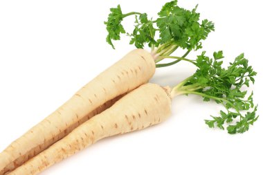 Beyaz arka plan üzerinde izole taze maydanoz kökü