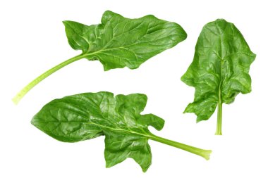 Ispanak yaprakları beyaz arka planda izole edilir. Sağlıklı yiyecekler. Üst görünüm.
