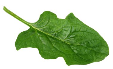 Ispanak yaprakları beyaz arka planda izole edilir. Sağlıklı yemek..