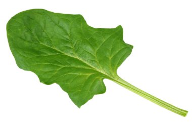 Ispanak yaprakları beyaz arka planda izole edilir. Sağlıklı yiyecekler. Üst görünüm.
