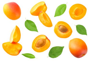 dilimler ve yeşil yaprak beyaz arka plan izole ile kayısı meyve. üst görünüm