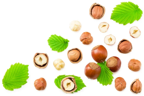 Hazelnuts Листьями Изолированы Белом Фоне Вид Сверху — стоковое фото