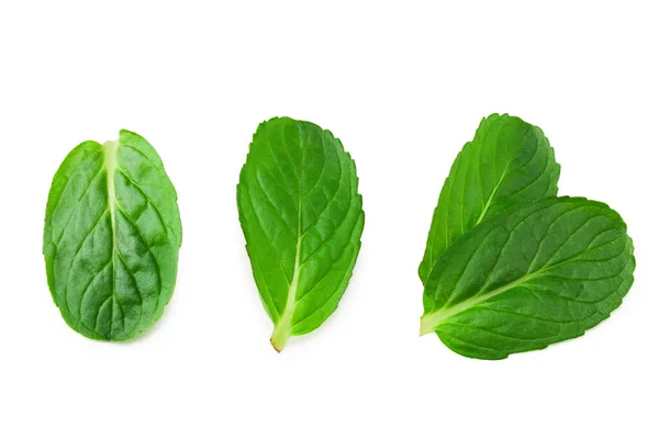 Fresh Mint Leaves Isolated White Background Top View — Stock Photo, Image