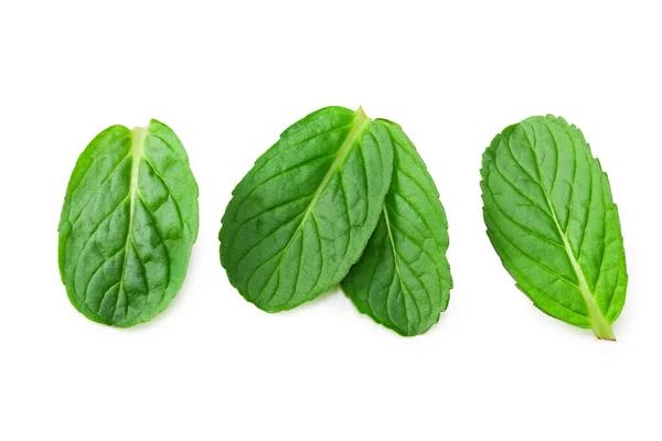 Fresh Mint Leaves Isolated White Background Top View — Stock Photo, Image