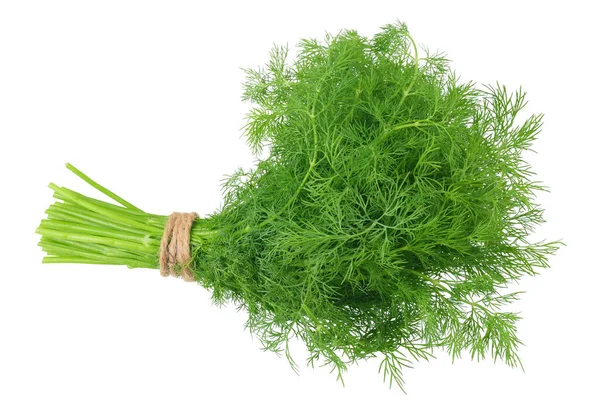 Frischer Bund Dill Isoliert Auf Weißem Hintergrund — Stockfoto