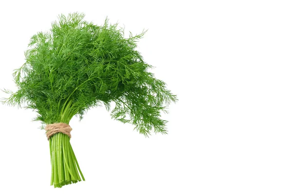 Frischer Bund Dill Isoliert Auf Weißem Hintergrund Ansicht Von Oben — Stockfoto