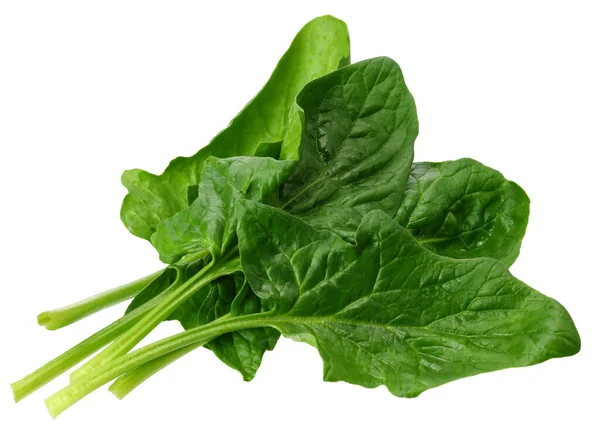 Spinach Leaves Isolate White Background Healthy Food — Stock Photo, Image