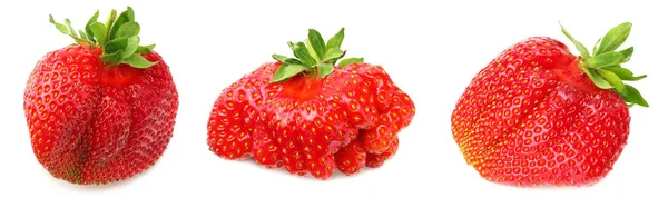 草莓收集 被白色背景隔离的草莓 健康食品 — 图库照片