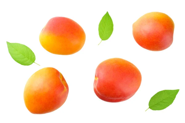 Aprikosenfrüchte Mit Grünem Blatt Isoliert Auf Weißem Hintergrund Ansicht Von — Stockfoto