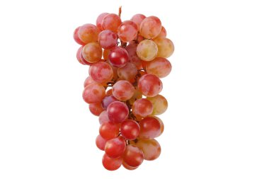 Beyaz arka planda izole edilmiş yabani üzümler. Yiyecek.