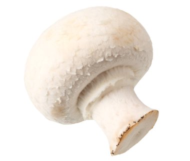 Beyaz arka planda izole edilmiş mantarlar. en üstteki görünüm