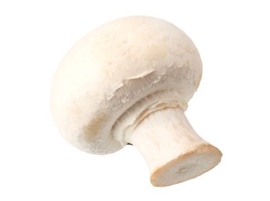 Beyaz arka planda izole edilmiş mantarlar. Yiyecek.