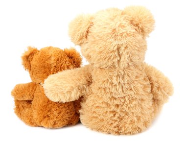 Beyaz arka planda izole edilmiş iki oyuncak ayı