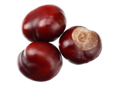 Kestaneler beyaz arka planda izole edilmiş. en üstteki görünüm