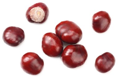 Kestaneler beyaz arka planda izole edilmiş. en üstteki görünüm