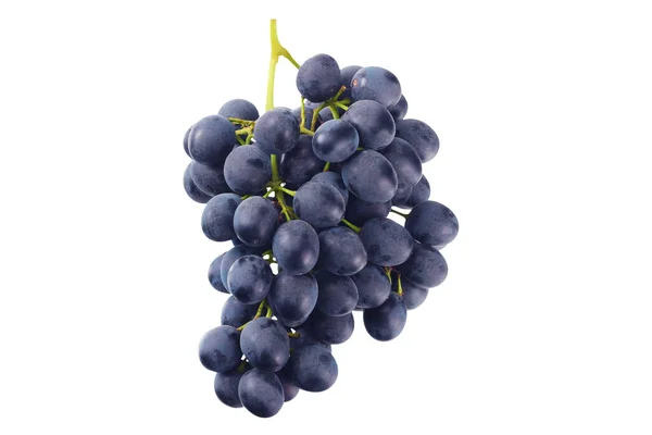 Niebieskie Winogrona Izolowane Białym Żywność — Zdjęcie stockowe