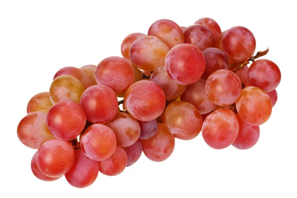 Wild Grapes Isolated White Food — Stock Photo, Image