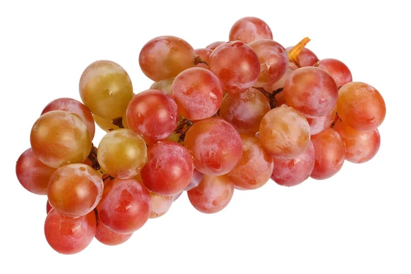 Wild Grapes Isolated White Background Food — Stock Photo, Image