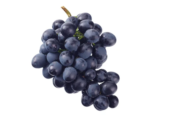 蓝色葡萄在白色的背景上被隔离 — 图库照片