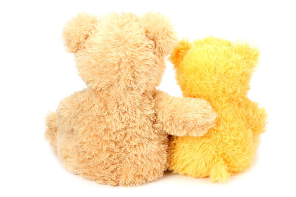 Two toy teddy bears isolated on white background