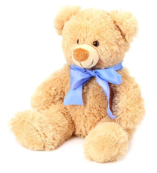 Toy Teddy Bear Isolated White Background — Stock Photo, Image