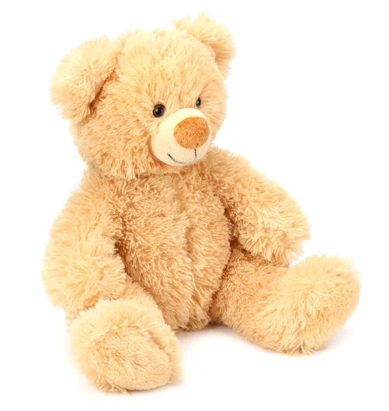 Toy Teddy Bear Isolated White Background — Stock Photo, Image