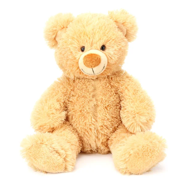 Toy Teddy Bear Isolated White Background Stock Image