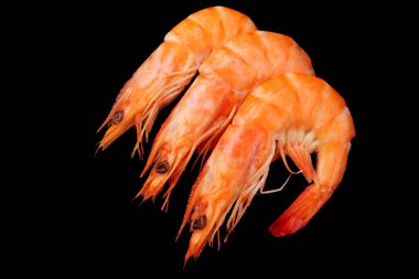 Siyah arka planda izole edilmiş karidesler. en üstteki görünüm